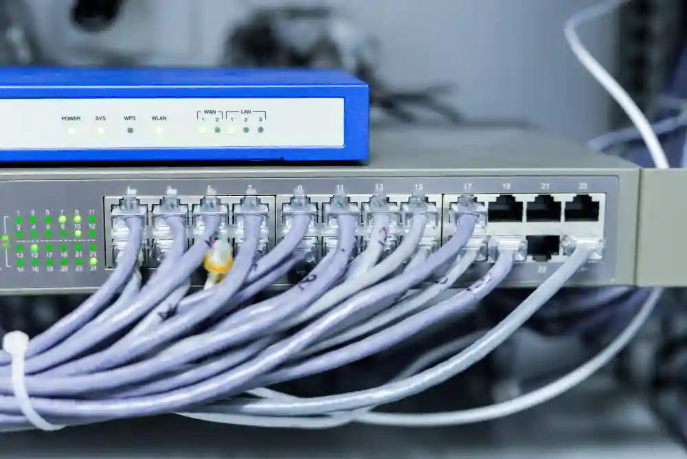 Network Türleri Nelerdir?