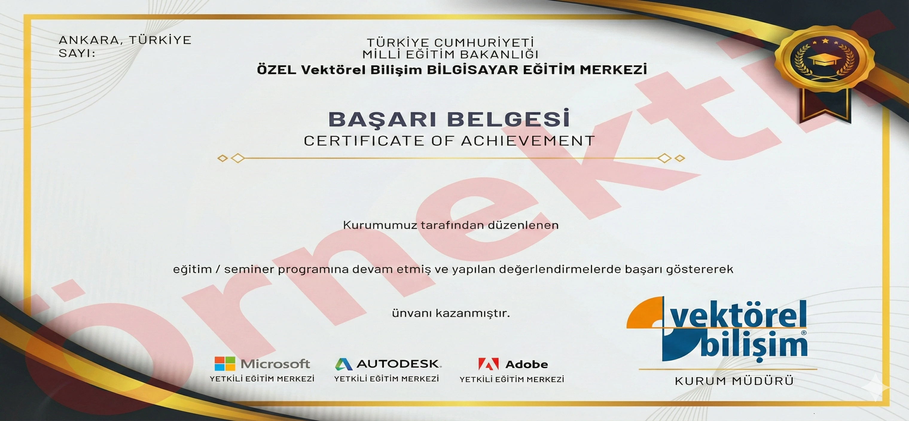 frontend sertifikası