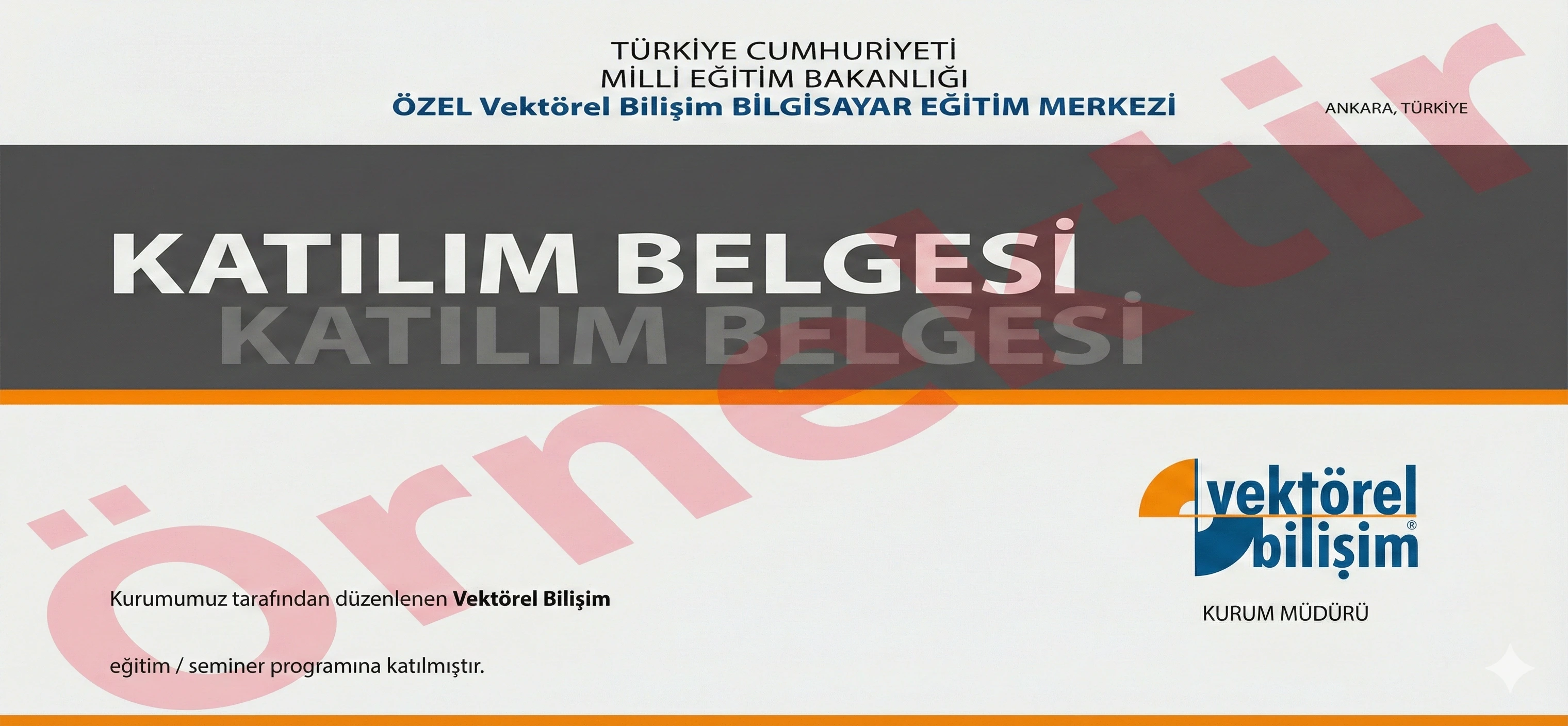 javascript1 sertifikası